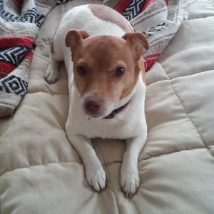 Meet your Posher, Ellie